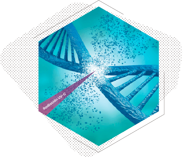 tecnologia-esterilizacion-UV